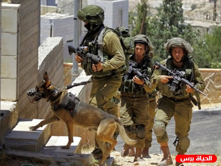 الاحتلال يداهم عددا من منازل المواطنين جنوب الخليل